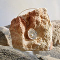 Inhorgenta24_DesignerOfTheYear_LOVEcollier_Yana_Nesper_cta_with_image_standard_555