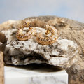 Inhorgenta24_FineJewellery_HansDKrieger_cta_with_image_standard_555