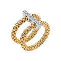 3 Fope-double-ring