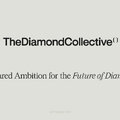 The Diamond Collective - A Shared Ambition for the Future of Diamonds-_Страница_02